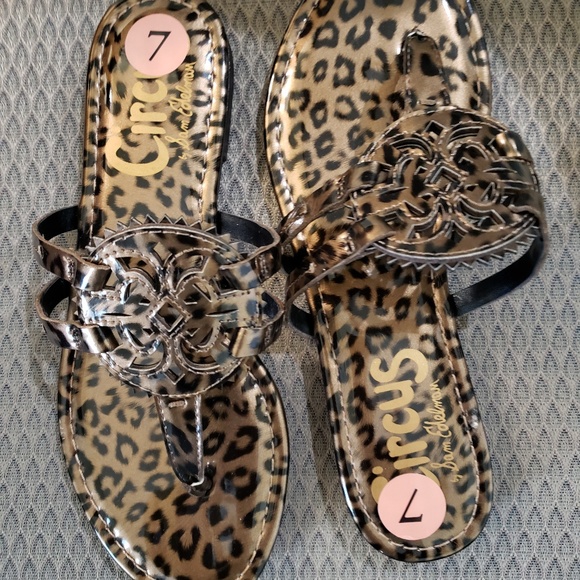 Circus by Sam Edelman Shoes - Circus by Sam Edelman Medallion Flat Sandal